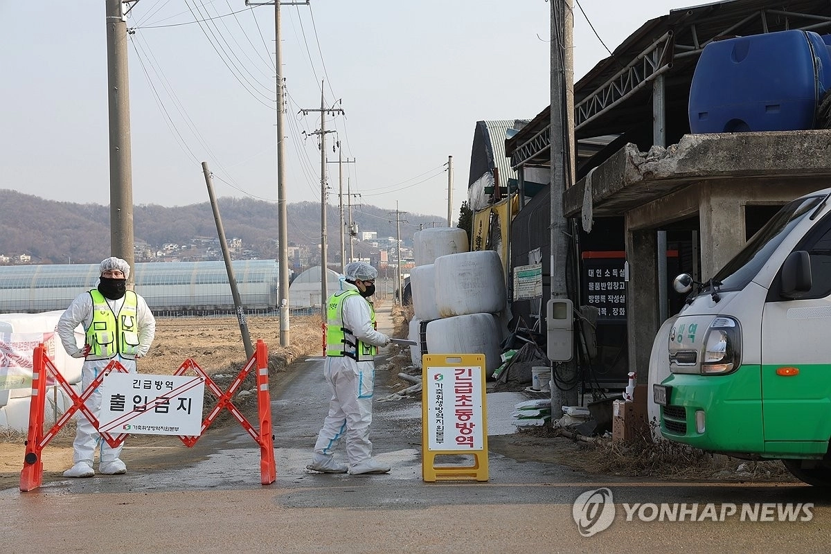 20일 오전 경기도 고양시 구산동의 소 농장에서 구제역이 확진돼 방역 당국이 현장을 통제하고 있다. 연합뉴스