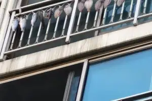 “윗집 베란다에 생선 주렁주렁”…악취에 이웃 고통 호소