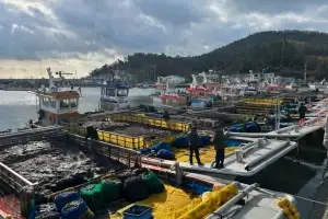 진도 김, 친환경 국제표준 ‘ASC·MSC’ 동시 획득