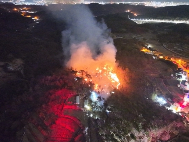 22일 오전 3시 44분쯤 울산 중구 성안동 야산서 발생한 불이 났다. 2026.02.22. 울산소방본부 제공