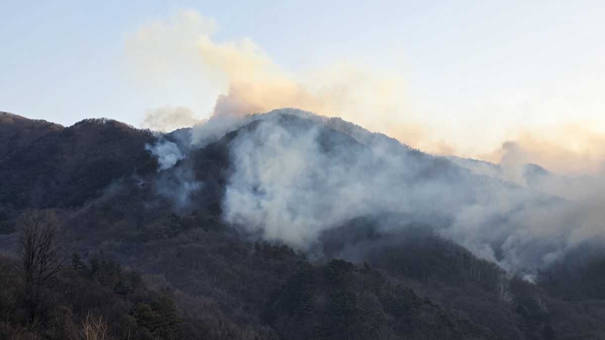 경남 함양 산불 현장. 2026.2.22. 경남도 제공