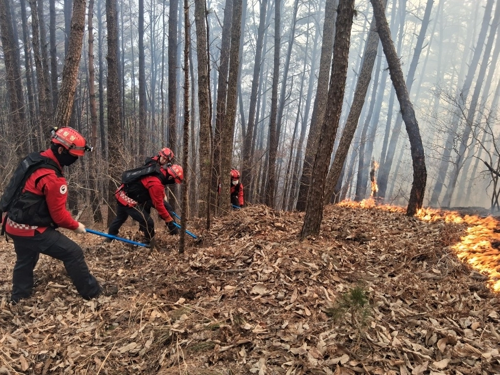 22일 경남 함양군에서 발생한 산불 현장에서 산림청 산불재난특수진화대원이 방화선을 구축하며 산불 진화 작업에 총력을 기울이고 있다. 2026.2.22. 산림청 제공