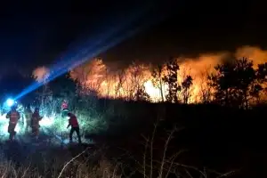 건조·강풍에 불씨 살아날라… 경남·강원 등 전국 동시다발 산불