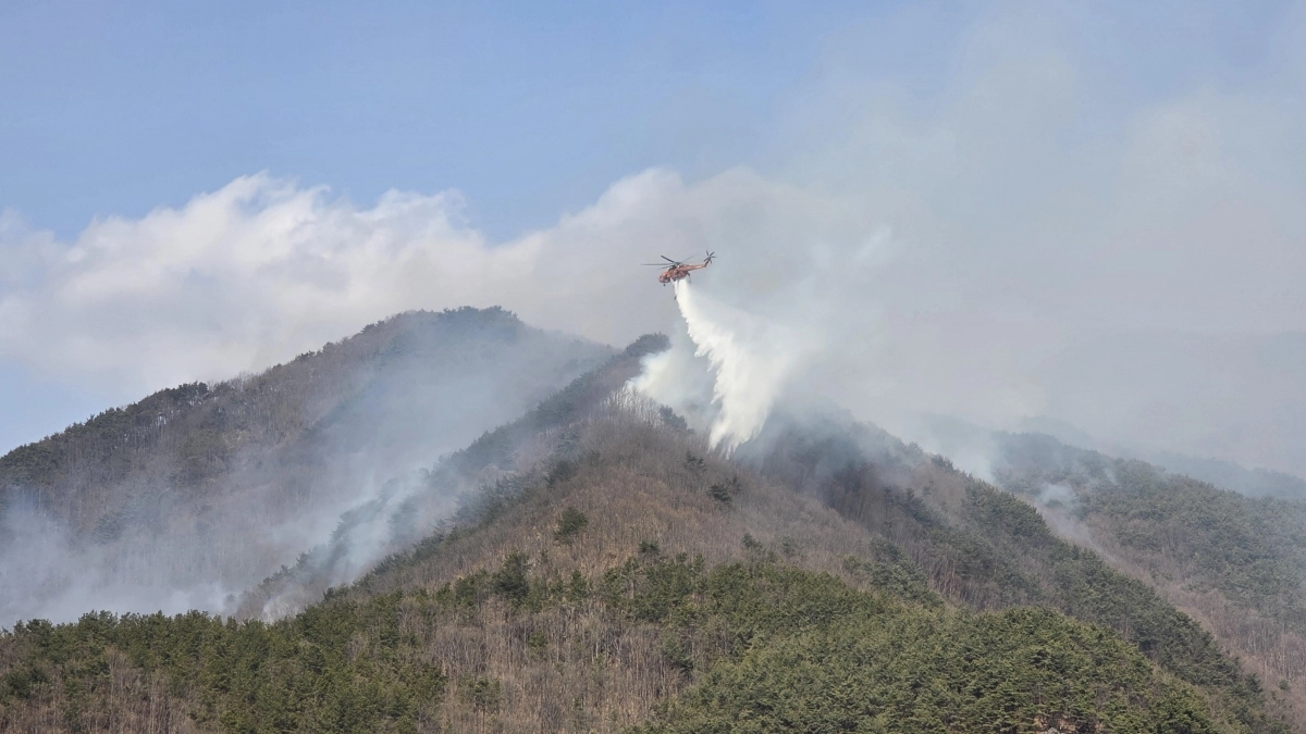 함양 산불현장 투입된 진화헬기