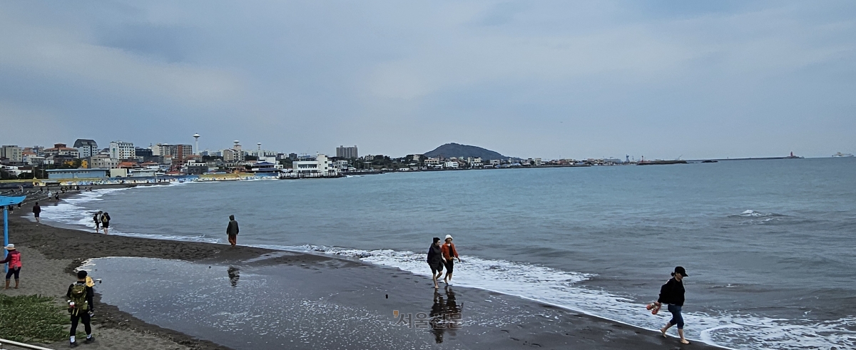 제주 삼양해수욕장의 검은 모래는 민간 웰니스(Wellness) 산업에서 활용 가능성이 입증된 자원으로 평가받고 있다. 사진은 제주 방문객들이 검은모래해변에서 어싱(Earthing·맨발 걷기)을 즐기는 모습. 제주 강동삼 기자