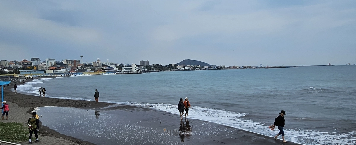 제주 삼양해수욕장의 검은 모래는 민간 웰니스(Wellness) 산업에서 활용 가능성이 입증된 자원으로 평가받고 있다. 사진은 제주 방문객들이 검은모래해변에서 어싱(Earthing·맨발 걷기)을 즐기는 모습. 제주 강동삼 기자