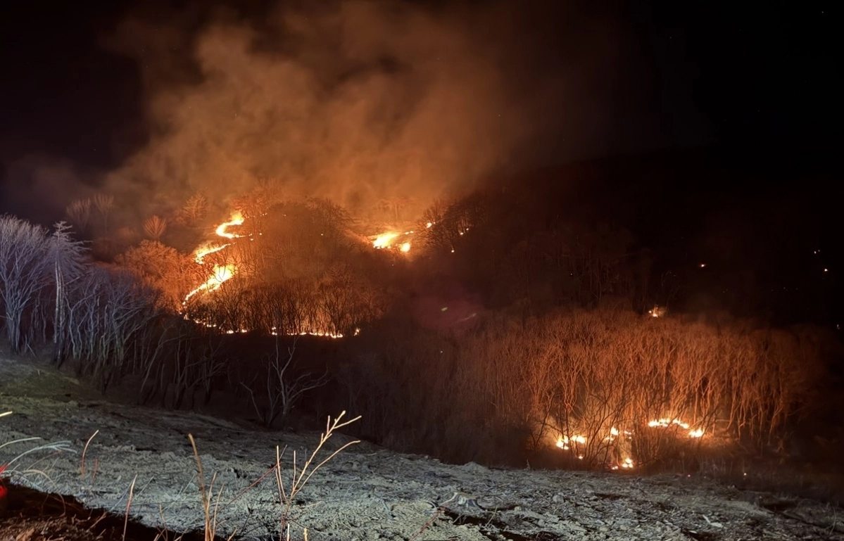 경북 영덕군 축산면 한 야산에서 23일 발생한 산불. 경북소방본부 제공