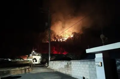 단양군 대강면 산불 6시간 만에 주불 진화...3.88㏊ 피해