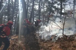 함양 산불 진화율 58%…헬기 51대·인력 754명 투입