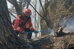 대응 2단계·국가소방동원령 속 함양 산불 70% 진화 눈앞