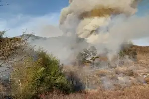 밀양 삼랑진 야산서 산불 ‘소방 대응 1단계 발령’ 진화 중