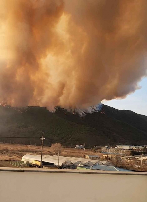 산불이 난 경남 밀양시 삼랑진읍 검세리 한 야산에서 연기가 치솟고 있다. 연합뉴스