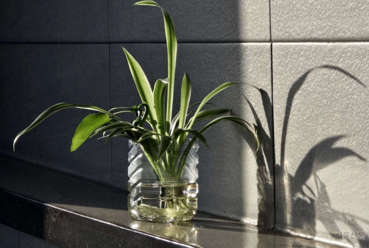 [천태만컷] 화장실에 핀 미소