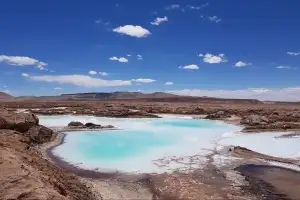 장인화 포스코그룹 회장 “압도적 실행력과 성과 창출로 투자 결실 입증할 것”