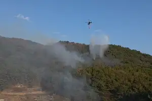 창원 의창 산불 용의자는 ‘불꽃놀이’ 촉법소년들…책임 묻긴 어려워