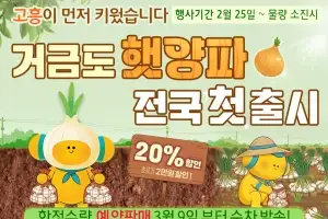 고흥군 고흥몰, 거금도 조생종 햇양파 첫 출시···20% 할인
