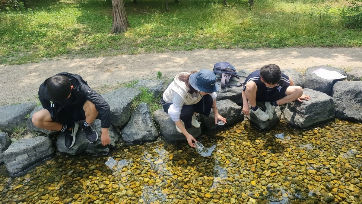 창일중학교 청소년 탐사대가 지난해 5월 도봉구 초안산 근린공원에서 환경 탐사 활동을 하고 있다. 도봉구 제공