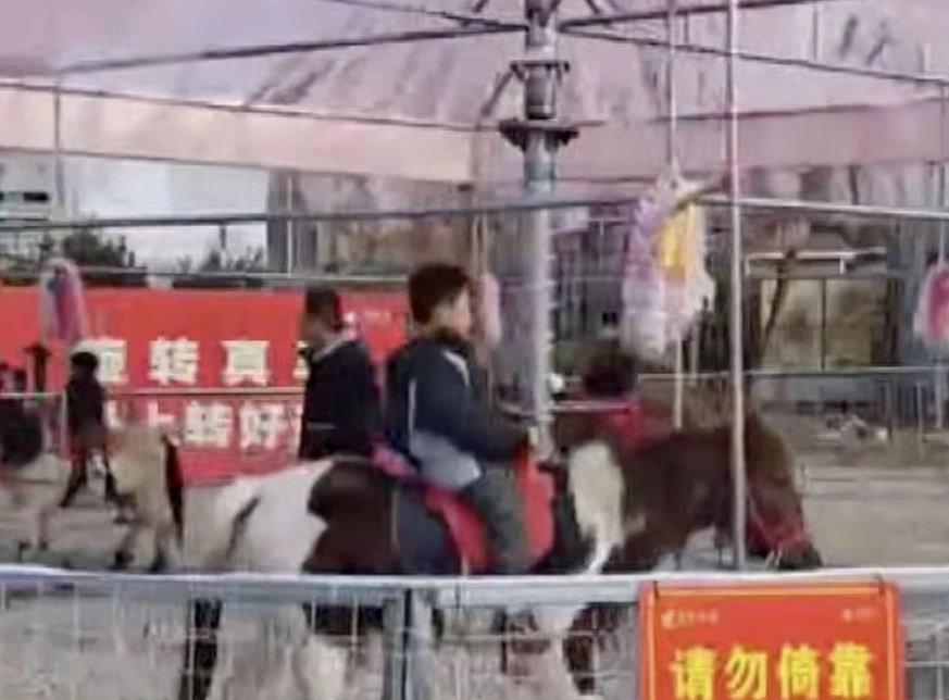 중국 산시성 시안 스진리 관광지구에서 열린 ‘살아 있는 말 회전목마’ 체험 행사에서 말 여섯 마리가 1미터 간격으로 철제 회전 구조물에 묶인 채 원을 그리고 있다. 소셜미디어(SNS) 캡처