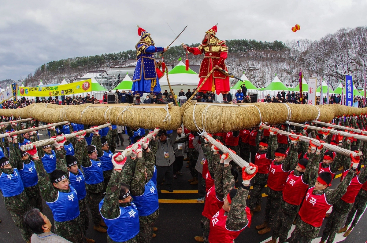 강원 삼척 정월대보름제가 27일부터 다음 달 1일까지 사흘간 시내 전역에서 열린다. 사진은 축제의 백미인 기줄다리기 모습. 서울신문 DB