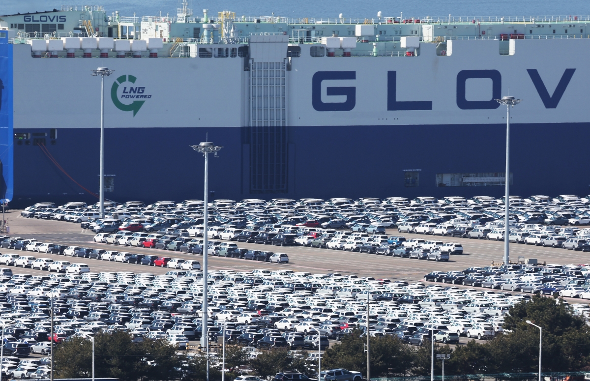 평택항에 세워져 있는 수출용 자동차