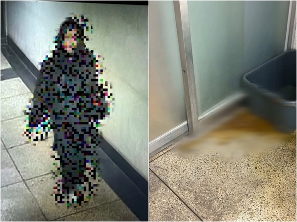 서울 강서구 등촌동의 한 빌딩 복도에서 젊은 여성이 대변을 보고 달아나는 CCTV 캡처 사진이 공개됐다. 보배드림 캡처