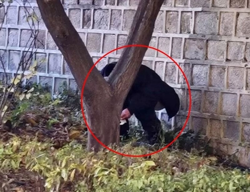 지난해 11월 10일 오후 경복궁 돌담길 아래에서 용변 본 남성이 경찰의 제지를 받았다. 서경덕 서울여대 교수는 해당 남성이 70대 중국인 관광객이라고 밝혔다. SNS 캡처