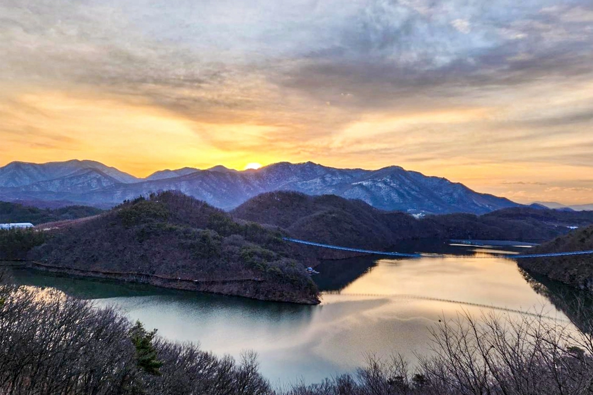 현대모비스가 2012년부터 10년간 조성 후 진천시에 기부체납한 미르숲. 현대모비스는 미르숲과 미호강 일대에서 생물다양성 환경 조성 활동을 진행중이다. 현대모비스 제공