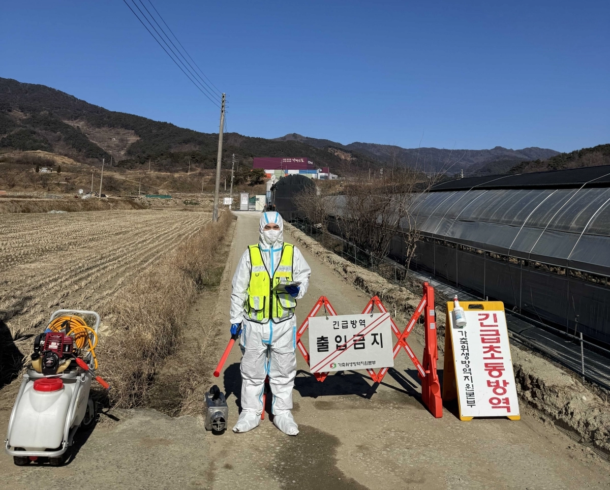 전남도가 26일 H5형 조류인플루엔자(AI) 항원이 검출된 구례군의 육용오리 농장에서 초동방역 활동을 하고 있다.