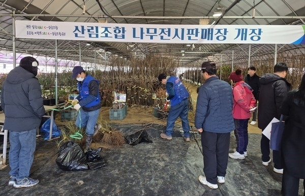 봄철을 맞아 광주 광산구 수완동 산림조합 광주전남지역본부에서 운영 중인 나무전시판매장에서 시민들이 유실수와 조경수를 살펴보고 있다.