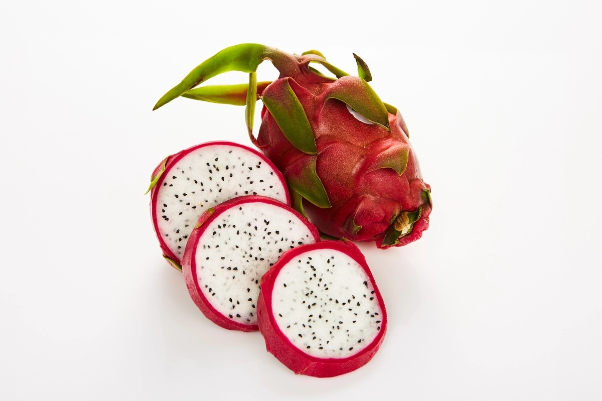 용과. 아이클릭아트