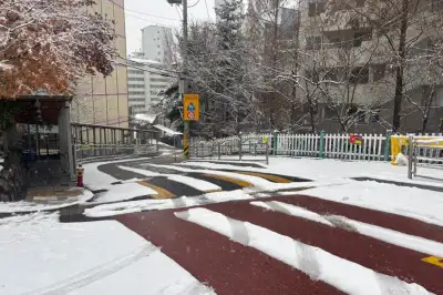 도로 열선·공공디자인의 힘… 달라진 용산, 편해진 일상