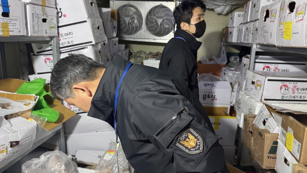 제주도자치경찰단이 설 연휴 전후 한 업체 냉동고 안에 쌓인 먹거리의 원산지 위반여부를 점검하고 있다. 제주도자치경찰단 제공