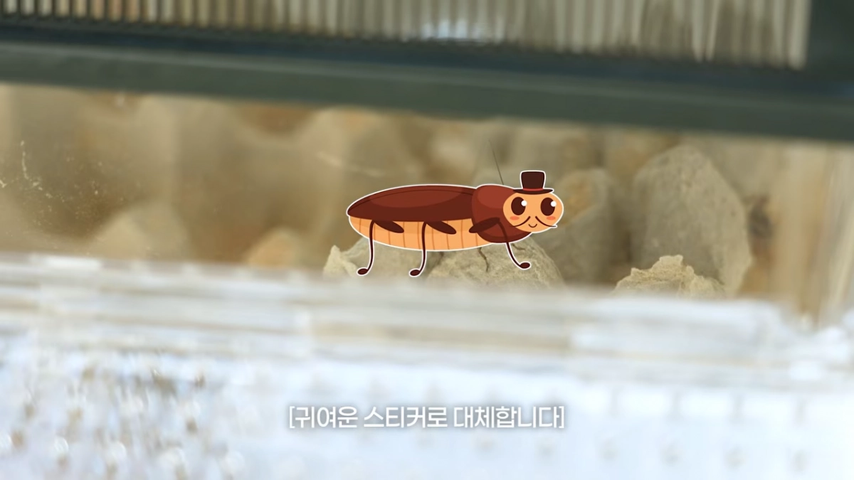 유튜브 채널 ‘자유부인 한가인’ 브라이언.