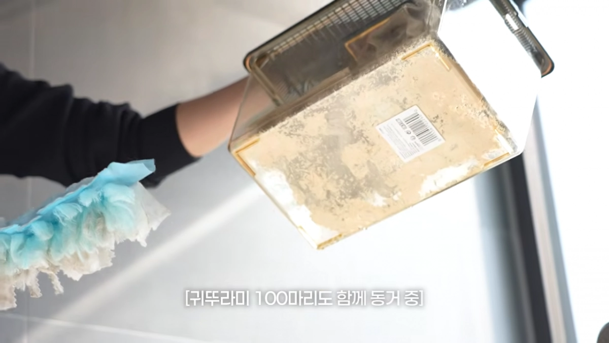 유튜브 채널 ‘자유부인 한가인’ 브라이언.