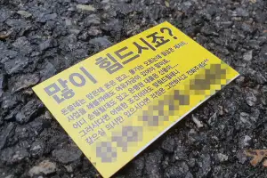 불법사금융 신고 1만 7538건… 13년 만에 최대