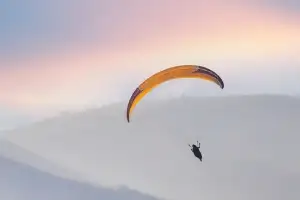 “근무 중 부상으로 장애”라던 경찰관, 유급병가 중에 스카이다이빙…美서 체포