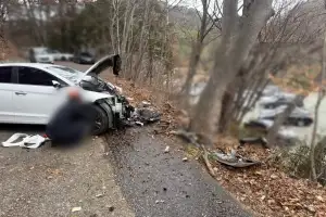 부산서 내리막길 주행하던 자동차 나무 들이받아…1명 사망