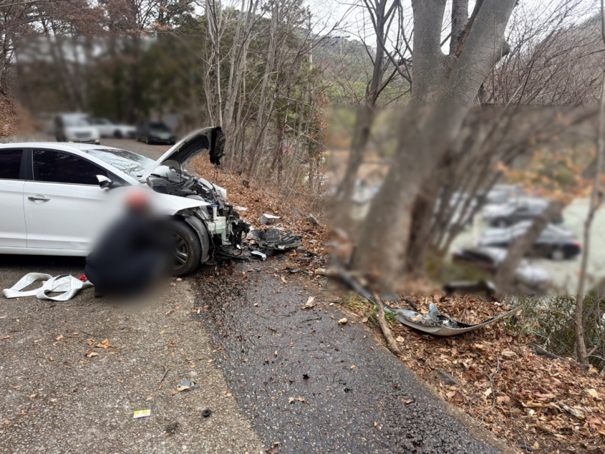 지난 1일 오후 2시 10분쯤 부산 기장군 장안사 도로에서 승용차가 나무를 들이받아 심하게 파손돼있다. 부산경찰청 제공