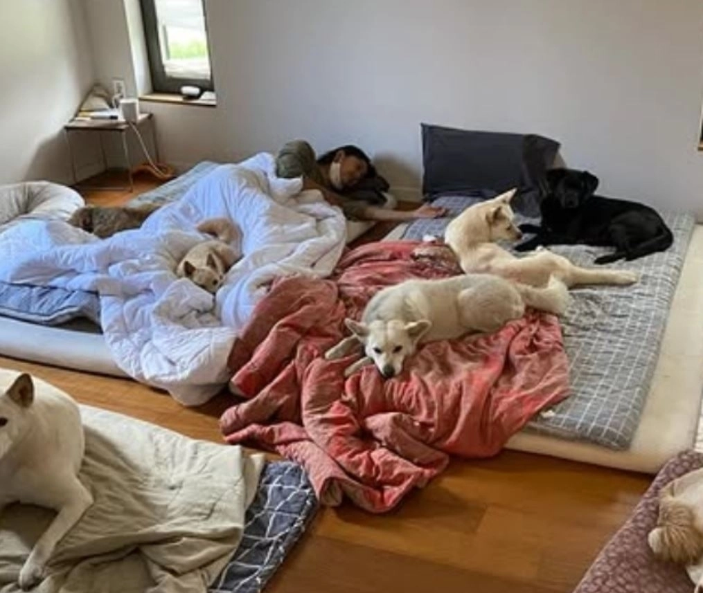 사진=이효리 SNS 캡처