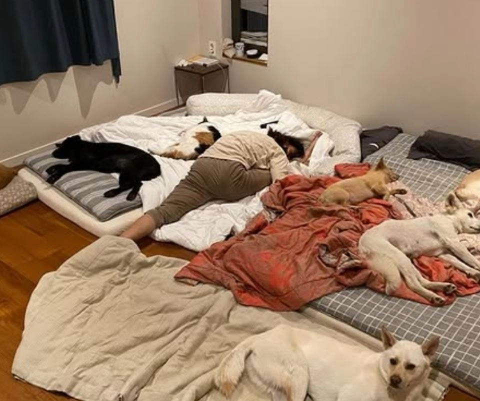 사진=이효리 SNS 캡처