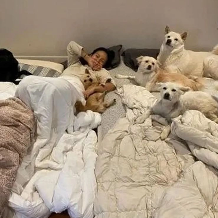 사진=이효리 SNS 캡처