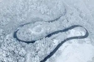 봄꽃 시샘하는 눈꽃