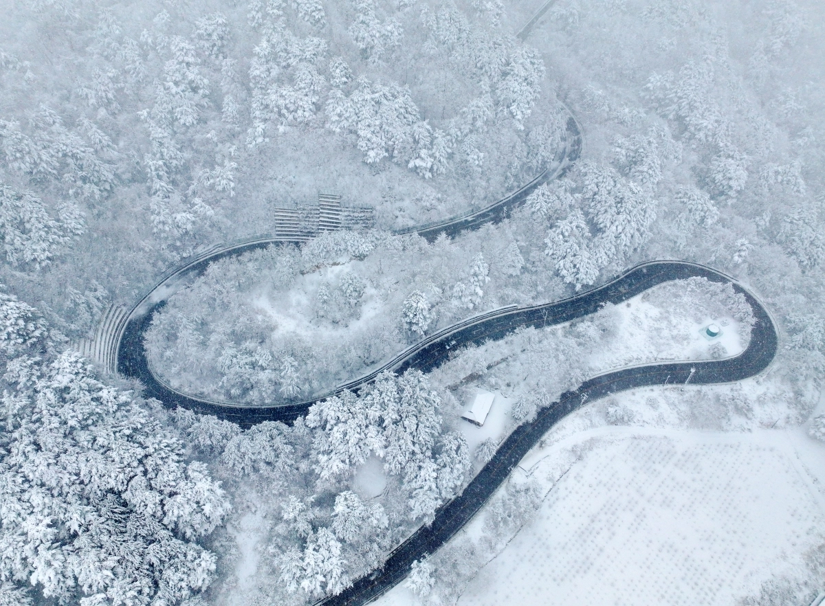 봄꽃 시샘하는 눈꽃