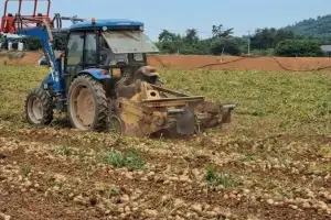 당진시, ‘노지 스마트농업 육성지구’ 선정