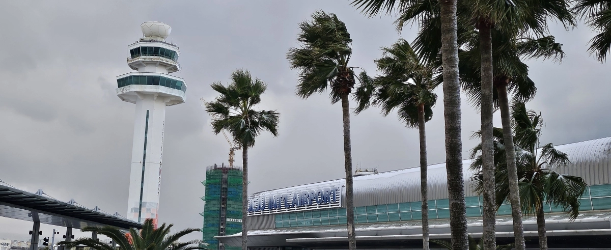 제주공항이 지난달 8일 강풍과 호우로 인해 야자수들이 심하게 흔들리고 있다. 제주 강동삼 기자