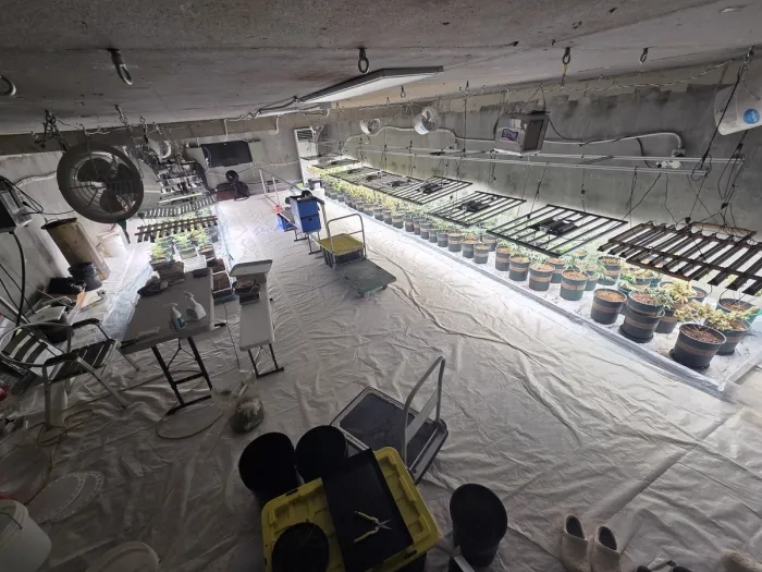 청년 창업농의 비닐하우스 아래 지하벙커 마약재배시설(마약범죄 정부합동수사본부 제공)