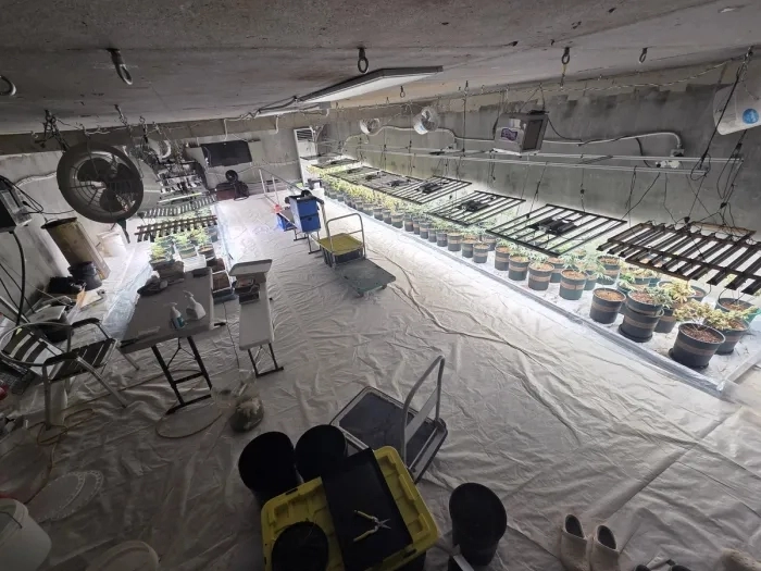 청년 창업농의 비닐하우스 아래 지하벙커 마약재배시설(마약범죄 정부합동수사본부 제공)