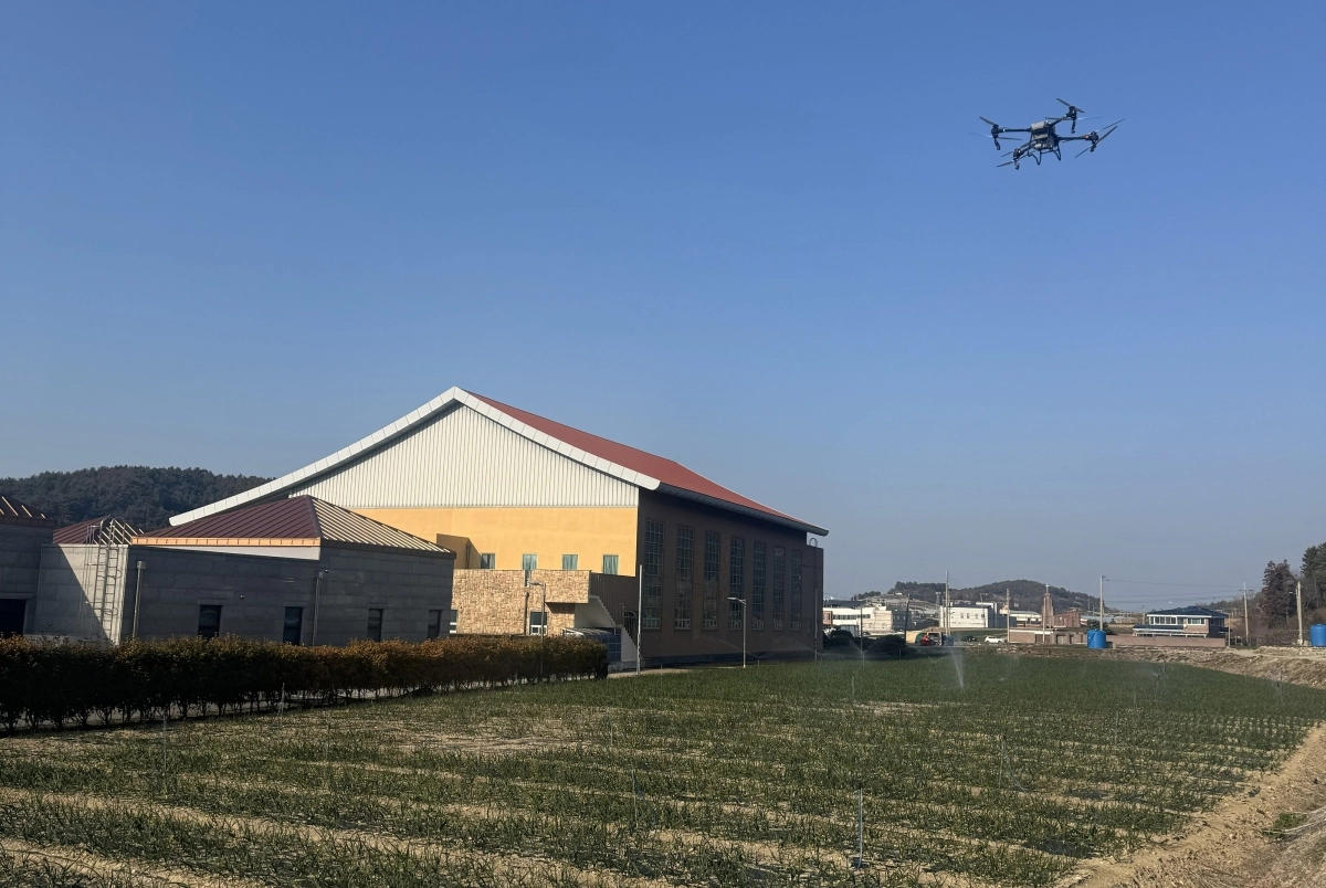 노지스마트농업 육성지구로 선정된 고흥 양파.