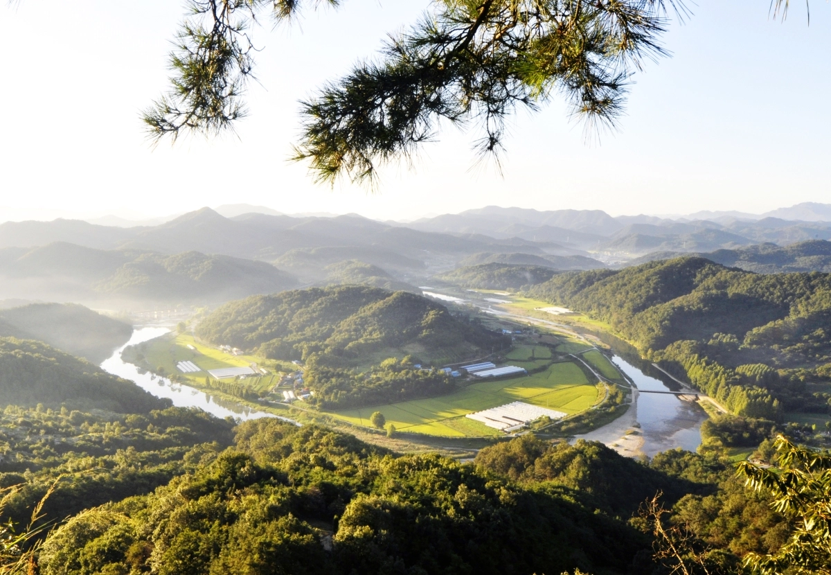 대전의 첫 지방정원이 조성될 예정인 노루벌 전경. ‘명품 정원도시 대전’ 프로젝트의 핵심지로 대전시는 2028년까지 들녘정원. 반디생태정원 등 9개 주제 정원을 조성해 운영한 뒤 2032년 국가정원으로 등록한다는 구상이다. 대전시 제공