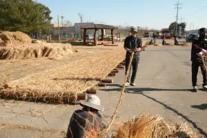 기지시줄다리기 100m 줄 제작 ‘대장정’